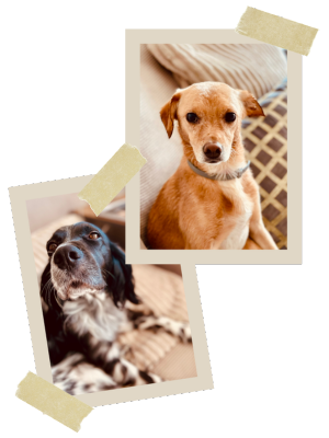 Cleo und Monte von CLEMONT